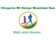 Chogoria Mount Kenya Mountain Run (Postponed)